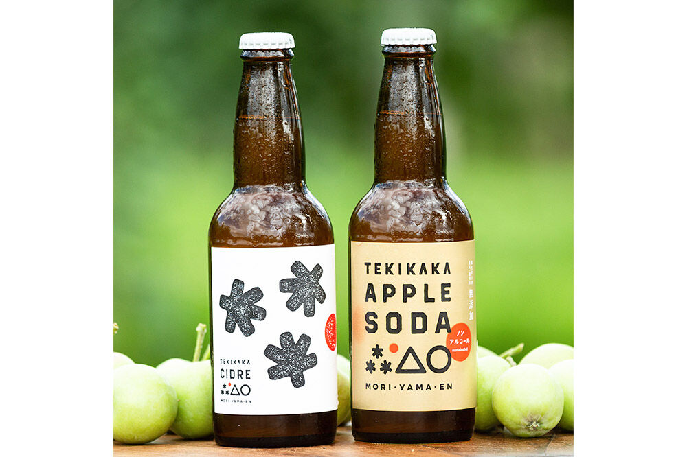 摘果りんごのシードルとノンアルセット テキカカシードル ＆ アップルソーダ 各330ml×3本 計6本 お酒 青森 弘前 林檎 リンゴ [もりやま園 シードル スパークリングワイン りんご りんご酒 