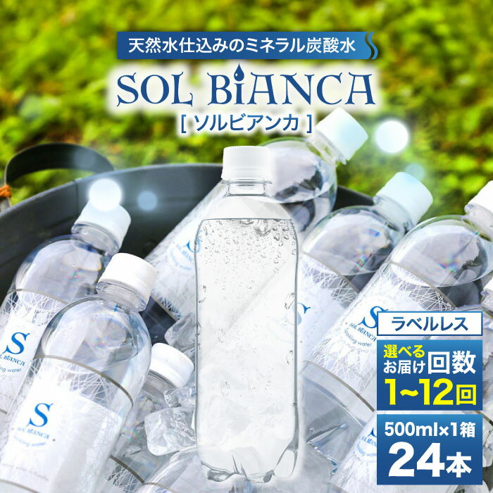 【ふるさと納税】【先行予約・2月以降発送】【選べる回数】シリカ炭酸水 ソルビアンカ ラベルレス 500ml×24本 日田市 / 株式会社OTOGINO 炭酸 飲料 水 [AREF065]