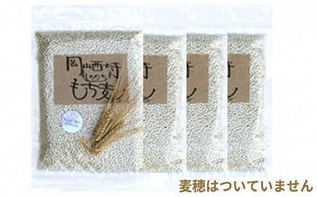 令和6年産 岡山西大寺の幸せもち麦(キラリモチ) 数量限定 2kg(500g×4) [No.5220-0052]