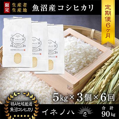 ふるさと納税 十日町市 【毎月定期便】魚沼産コシヒカリ「イネノハ」精米(5kg×3個)×6回【合計90kg】全6回