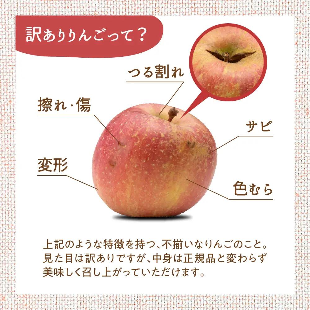【2026年10月中旬発送】【訳あり】 りんご 10kg 紅玉 アップルパイ に最適 青森 不揃い