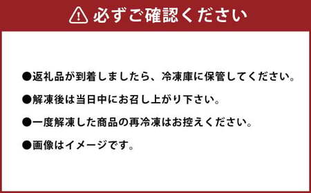熊本 馬刺し 霜降り (中トロ) 500g 小袋たれ 小袋生姜付き 馬肉
