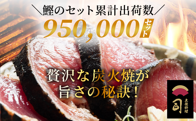 【３回定期便】かつおのたたき 計約６００g （４～５名分） Wtr-0019