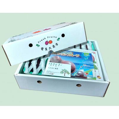 ふるさと納税 瀬戸内町 【先行受付】【2026年5月下旬以降順次発送】パッションフルーツ　化粧箱M玉15個入り |  | 02