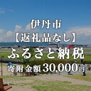 【ふるさと納税】寄附のみの応援受付 30,000円コース（返礼品なし 寄附のみ 30,000円）　 寄付