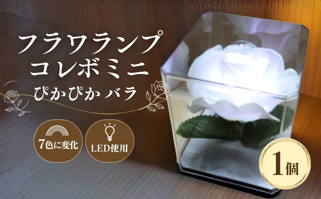 
                  間接照明 フラワランプ コレボミニ ぴかぴか バラ 1個 | 間接照明 かんせつしょうめい 照明 しょうめい ライト らいと ランプ らんぷ LEDランプ インテリア 仏壇 灯り 散歩 キャンプ アウトドア 電池付属 おしゃれ かわいい 光る 花 フラワー 薔薇 ばら ローズ 人気 おすすめ 埼玉県 越谷市
                