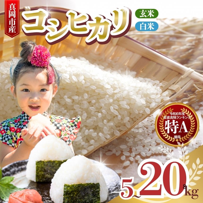 【ふるさと納税】こしひかり コシヒカリ お米 選べる 白米 精米 玄米 5kg 10kg 15kg 20kg｜ 楽天 限定 玄米 一等米 のみお届け 2025年 令和7年 コシヒカリ 色彩選別 済み 低温貯蔵 おすすめ 人気 高評価 おにぎり おこめ 米 ご飯 ごはん ライス コメ 真岡市 栃木県 送料無料