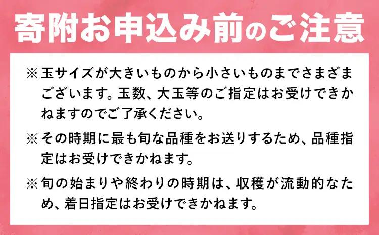 先行予約 岡山の桃 約 4kg 白桃