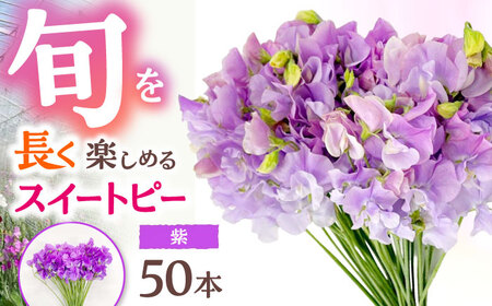 【R7年度12月以降発送】スイートピー 花束 50本（紫） / 花 【[IBW008]