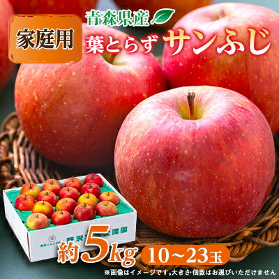 【ふるさと納税】青森市産りんご「葉取らずサンふじ」約5kg(家庭用)【配送不可地域：離島・沖縄県】【1272641】