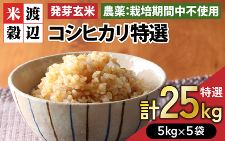 【令和7年産】発芽玄米 コシヒカリ「特選」特別栽培米使用 5kg×5袋（計25kg）【米 こしひかり 玄米 ギャバ GABA 特別栽培 食物繊維 栄養 真空パック ごはん ご飯 おいしい ふるさと納税