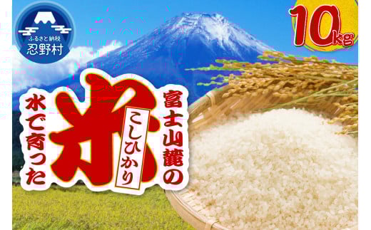 【令和8年度産米】【新米先行予約】【数量限定】忍野村産コシヒカリ（10kg）
