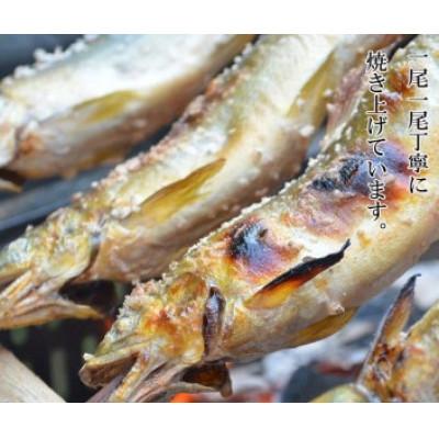 ふるさと納税 さくら市 喜連川湧水育ち鮎☆炭火焼鮎15尾入り