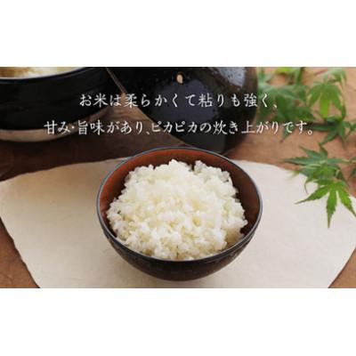 ふるさと納税 丹波篠山市 【新米】令和7年産 特Aランク米【特別栽培米】丹波篠山産コシヒカリ 2kg5袋 |  | 02