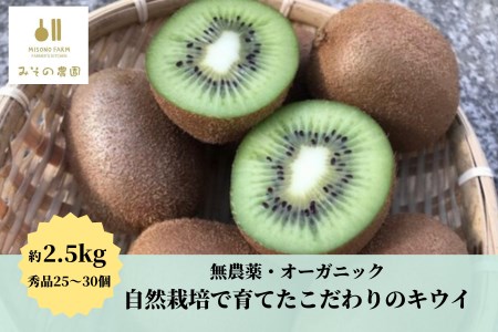 キウイ 2.5kg フルーツ 果物 くだもの 自然栽培 無農薬 国産 徳島県 ※離島への配送不可 ※2024年12月頃より順次発送予定