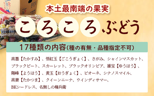 【ふるさと納税】【期間限定・数量限定】今が旬 ＜訳あり＞ 本土最南端ぶどう ころころぶどうパック 約1.2kg TE707｜ 家庭用 産地直送 旬 ブドウ 葡萄 ぶどう フルーツ 果物 くだもの 果実
