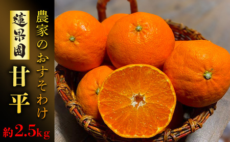 【甘平】【1月下旬から発送予定】 甘平  家庭用 約2.5 kg Sから4Lサイズ混合 | 愛媛県松山市【RNK012】