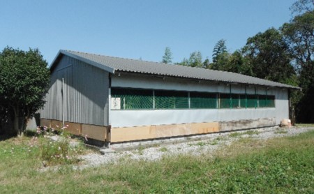 奥美濃古地鶏 鶏肉セット もも むね 神代の味 奥美濃古地鶏【冷凍】