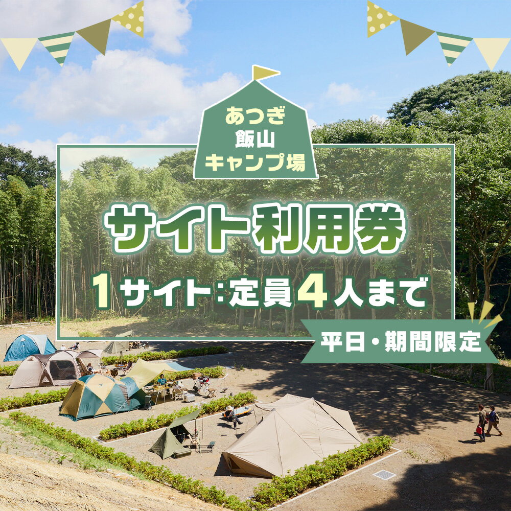 【ふるさと納税】【平日・期間限定】あつぎ飯山キャンプ場サイト利用券 ／ 体験 キャンプ アウトドア アクティビティ 観光 宿泊 旅行 チケット 宿泊券 旅行券 川遊び 星空 自然 送料無料 神奈川県