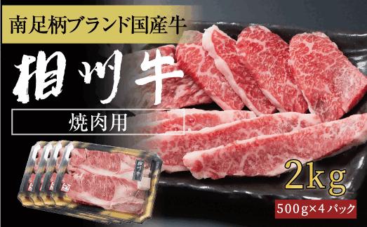 
相州牛 焼肉・網焼き用カルビ　2.0kg（厚切り） 【 牛肉 お肉 ブランド牛 神奈川県 南足柄市 】
