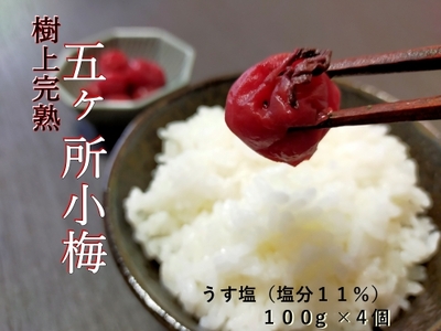 梅干し 小梅 うす塩 100g 4個 計 400g 五ヶ所 無添加 塩分 11% 梅干し 梅干し 梅干し 梅干し 梅干し