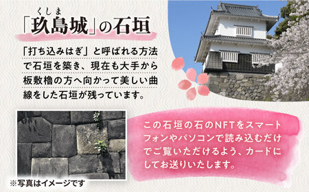 玖島城石垣の石 NFT 大村市 大村市役所観光振興課ふるさと物産室[ACBI002]