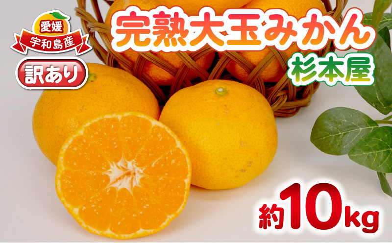 
                  【11/20～12/20発送予定】 みかん 訳あり 完熟 大玉みかん 10kg 杉本屋 完熟みかん mikan わけあり 訳アリ 訳あり品 愛媛みかん 愛媛蜜柑 愛媛ミカン 温州 愛媛県産 温州みかん 果物 くだもの フルーツ 柑橘 みかん 蜜柑 産地直送 数量限定 国産 愛媛 宇和島 B010-143017
                