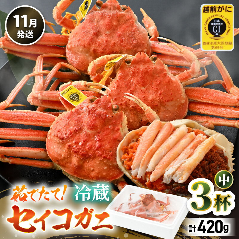 【ふるさと納税】【先行予約】【冷蔵】旬のセイコガニ 中 3杯 計420g以上（茹で前）説明書付き 【2025年11月上旬以降順次発送予定】食べ切数量！全て地物！天然！ ズワイガニメス せいこがに