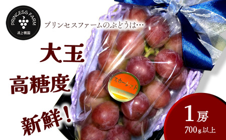 種なし赤ぶどう スカーレット（1房・700g以上）8月下旬～10月発送｜ 種なし葡萄 赤ブドウ 農園直送