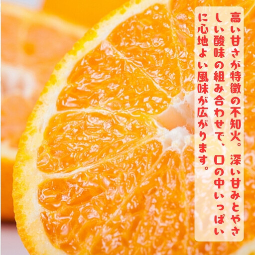 有田育ちの 完熟 ポンカン (ご家庭用) 約4.5kg【先行予約・2025年1月～発送】【MS45】