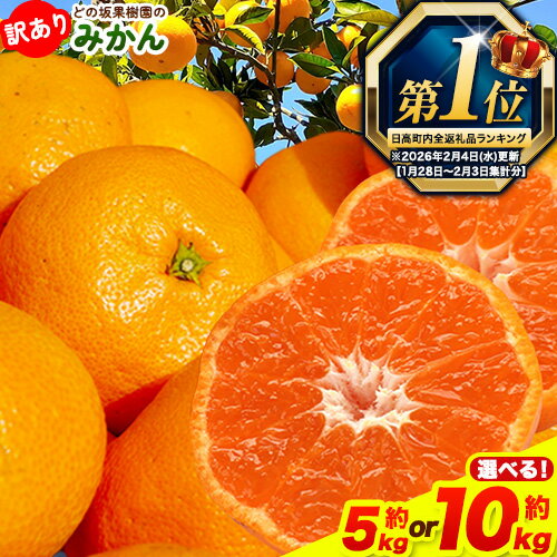 【ふるさと納税】2/10終了《最短出荷すぐ届く！》 訳あり みかん 和歌山 選べる 5kg 10kg (サイズおまかせ) どの坂果樹園《入金から7-14日以内に出荷予定》 和歌山県 日高町 産地直送 家庭用 規格外 不揃い 果物 柑橘 サイズ 不選別 訳ありみかん
