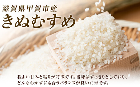 【令和7年産】近江米きぬむすめ白米10kg（5kg×2袋）