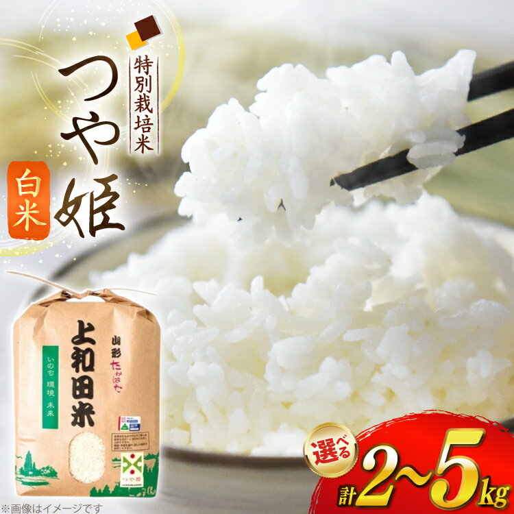 【ふるさと納税】米 令和7年度 特別栽培米 コシヒカリ 白米 [上和田有機米生産組合 山形県 高畠町] お米 精米 ブランド米 ごはん ご飯 おこめ コシヒカリ 令和7年 令和7年産