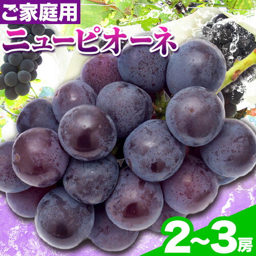 【先行予約】【ふるさと納税】岡山県産 ニューピオーネ ご家庭用 ニューピオーネ 1.2kg 2 ~ 3房 ぶどう テレビせとうち株式会社《8月末-10月中旬頃出荷》岡山県 浅口市 ぶどう ブドウ 葡萄 大粒 果汁 果物 フルーツ 訳あり