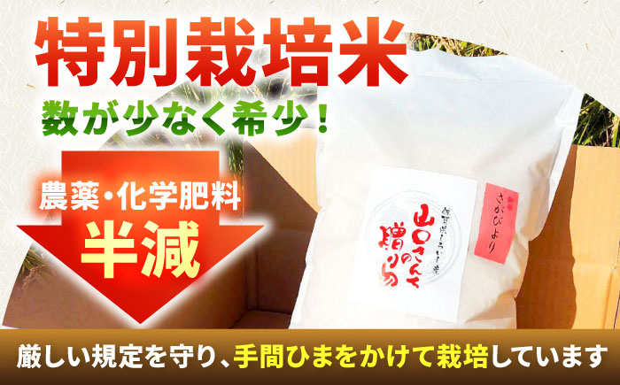 【令和7年11月以降順次発送】【令和7年度産】 特別栽培米 さがびより（玄米） 5kg 【y'scompany】 [IAS021]