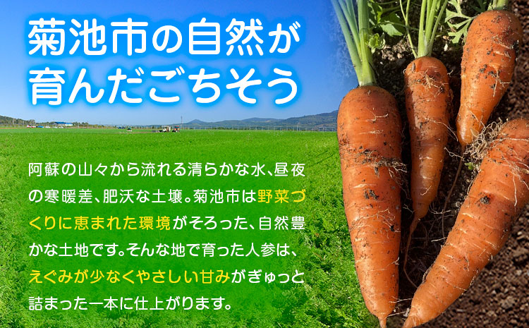 【先行予約】人参 約5kg (17-33本) 日本フルーツ株式会社《2026年4月上旬-6月上旬頃出荷》熊本県 菊池市 にんじん ニンジン 野菜 熊本県産---308-0011---