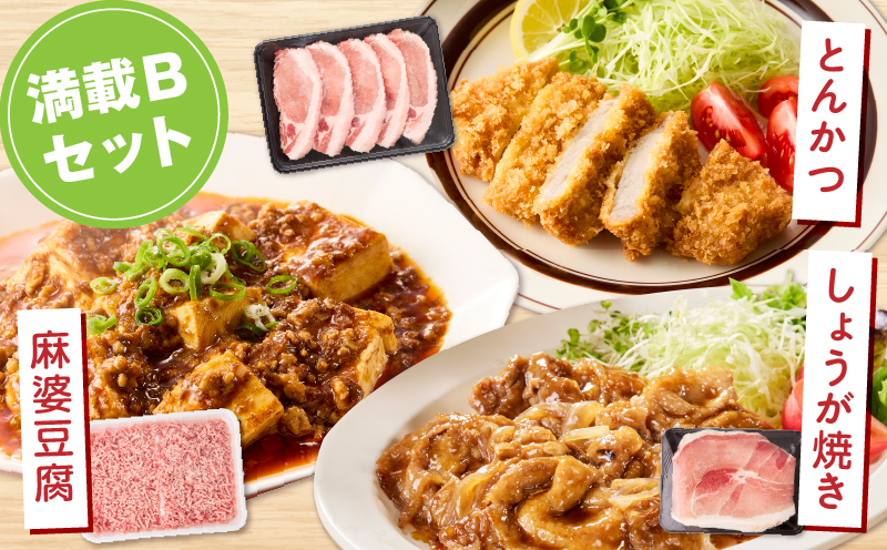 宮崎県産豚4.5kg 満載Bセット 豚 豚肉 豚肩ロース 豚ロース モモ ウデ スライス 切り落とし ミンチ しゃぶしゃぶ とんかつ ぶた肉 炒め物 冷凍 豚汁_M241-021-03