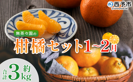 ＜無茶々園の柑橘セット 約3kg（1～2月）＞ フルーツ 果物 くだもの 伊予柑 いよかん イヨカン ポンカン ぽんかん みかん 蜜柑 ミカン 詰め合わせ 詰合せ お楽しみ 食べ比べ お試し おためし 特産品 愛媛県 西予市【常温】『2026年1月～2月に順次出荷予定』AMC0040