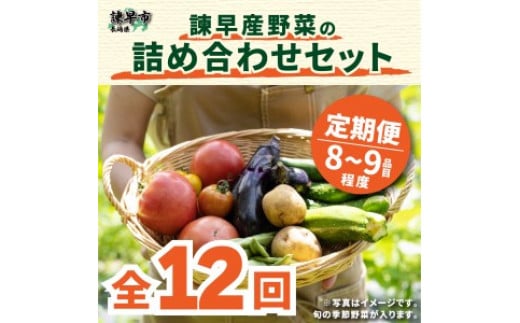 【12回定期便】諫早産野菜の詰め合わせ(8〜9品目程度) / 季節 旬 野菜 春野菜 夏野菜 秋野菜  / 諫早市 / 肥前グローカル株式会社  [AHDI003]