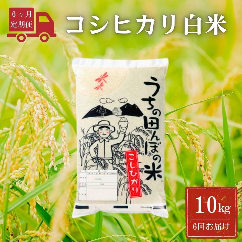 
            令和6年産 コシヒカリ白米【定期便】10kg/月×6回（月1回配送）
          