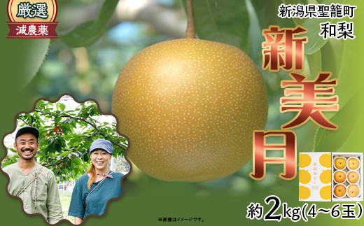 
                  新潟和梨【新美月】約2kg（4～6玉）
                