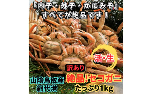 【22032】鳥取網代港【訳あり】活！絶品セコガニ1kgセット 岩美 松葉がに ずわいがに かに カニ 日本海 せこがに せいこがに【さかなや新鮮組】