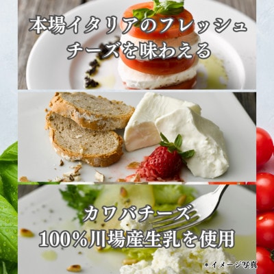 【毎月定期便】4種のチーズとヨーグルトセット全3回【配送不可地域：離島】