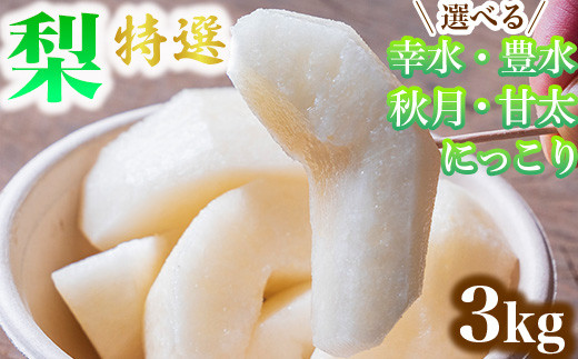 【幸水】【選べる】梨 特選 3kg 標準箱 幸水 豊水 秋月 甘太 にっこり ｜ 栃木県産 果物 フルーツ ※離島への配送不可