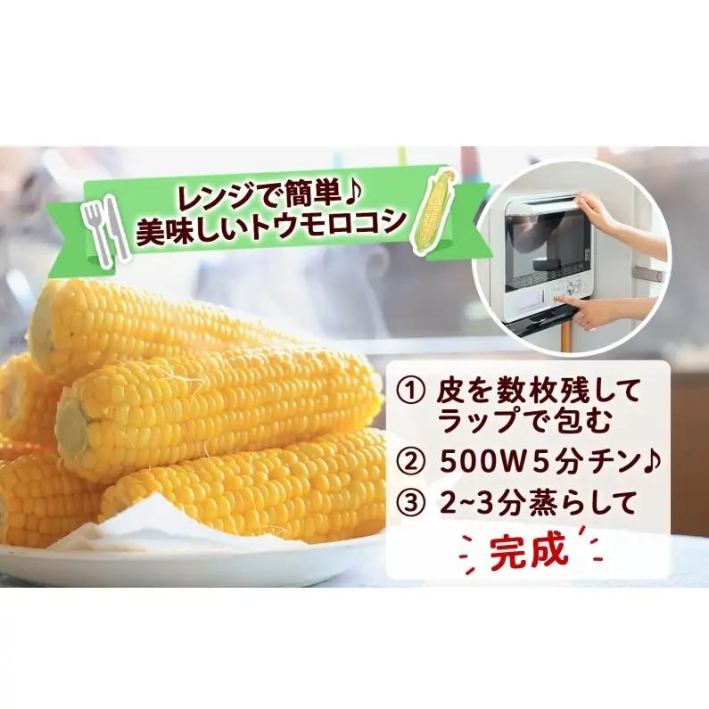 とうもろこし 味来 2Lサイズ 26本 約10kg 北海道産 朝もぎ イエロー コーン みらい