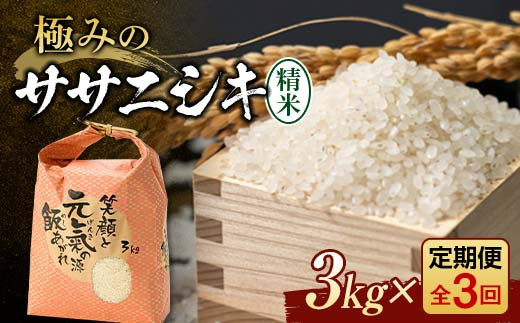 【令和8年産】 定期便 全3回 極みのササニシキ（精米）3kg 米 お米 おこめ ふるさと納税 山形県 新庄市 F3S-2834
