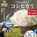 【ふるさと納税】《選べる容量》【米の定期便】福島県鏡石町産 和田農園「コシヒカリ」精米《5kg 10kg》 6か月連続 F6Q-198var