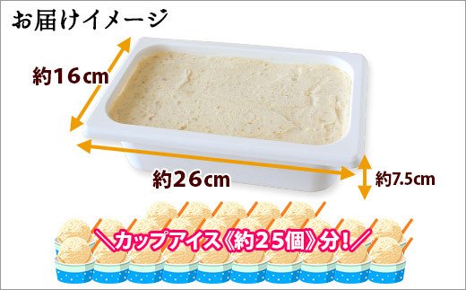 602.アイスクリーム くるみ クルミ ジェラート 業務用 2リットル 2L アイス 大容量 胡桃 手作り 北海道 弟子屈町