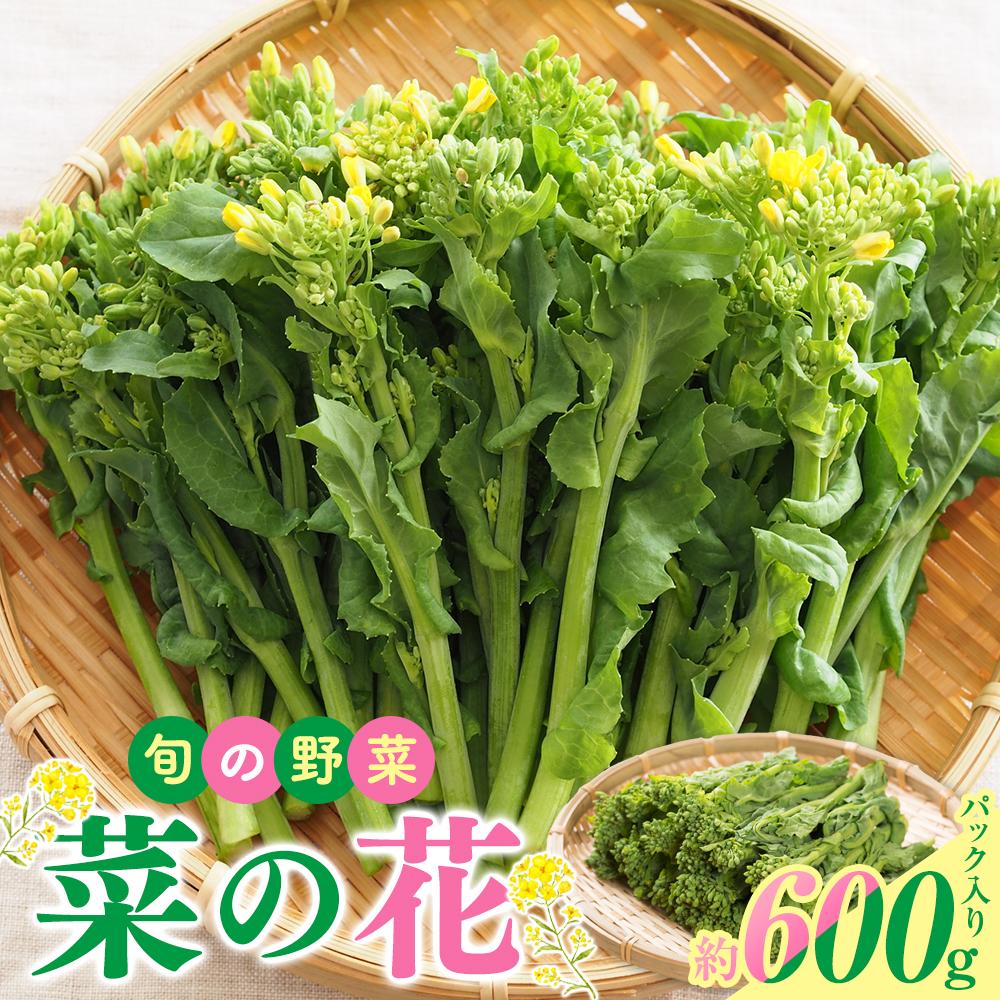 【ふるさと納税】旬の野菜 菜の花 (パック入り) 約600g【2025-12月上旬～2026-3月下旬配送】 | 国産 高松市産 旬の野菜 春野菜 花菜 食用 ほろ苦い 和え物 炒め物 揚げ物 味噌汁 自宅用 家庭用 おすそ分け 和食 お取り寄せ 香川県 高松市