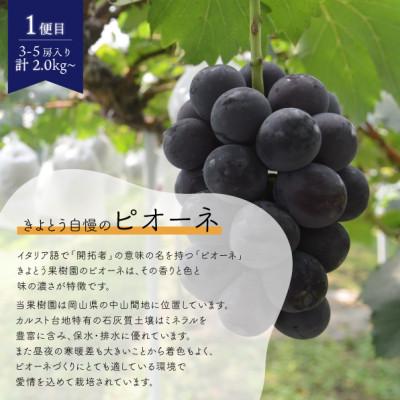 ふるさと納税 真庭市 【発送月固定定期便】【2026年先行予約】ピオーネとシャインマスカットの2回便! (岡山県産)全2回 |  | 01